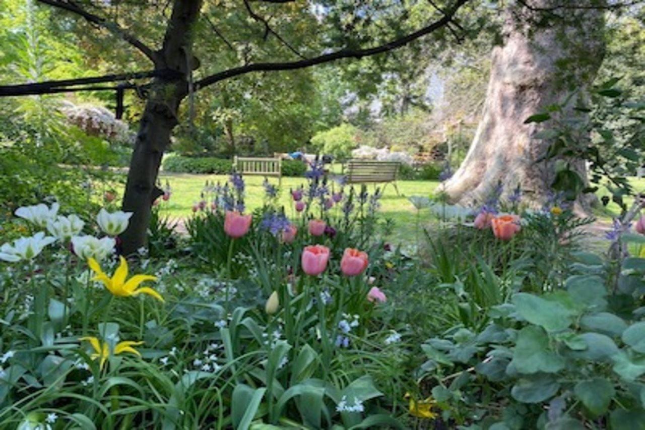 Eccleston Square Hotel London Exterior photo